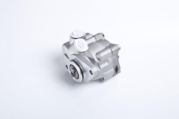 PE Automotive 012.500-00A Hydraulic Pump, steering system 01250000A