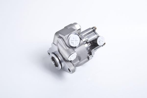 PE Automotive 012.506-00A Hydraulic Pump, steering system 01250600A