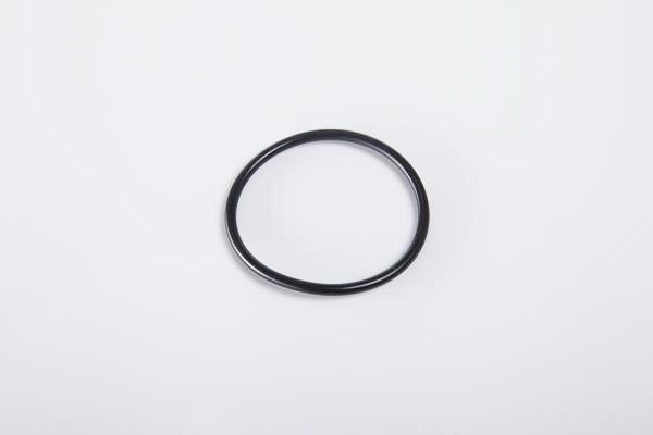PE Automotive 031.092-00A Ring sealing 03109200A