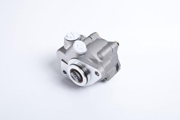 PE Automotive 032.500-00A Hydraulic Pump, steering system 03250000A