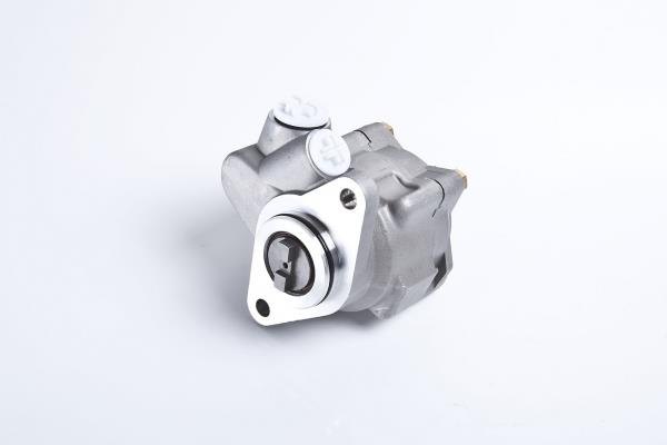 PE Automotive 032.502-00A Hydraulic Pump, steering system 03250200A