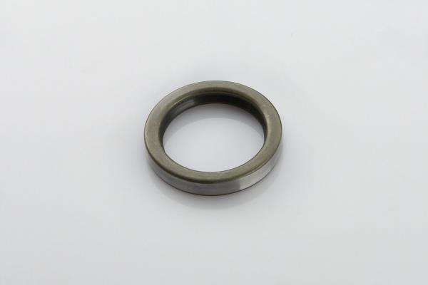 PE Automotive 036.173-00A Ring sealing 03617300A