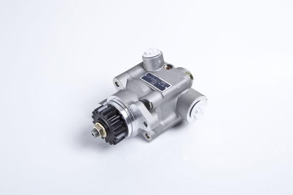 PE Automotive 102.500-00A Hydraulic Pump, steering system 10250000A