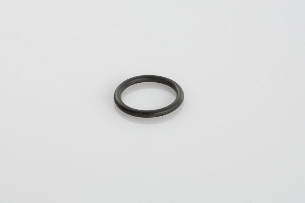 PE Automotive 046.022-00A Ring sealing 04602200A