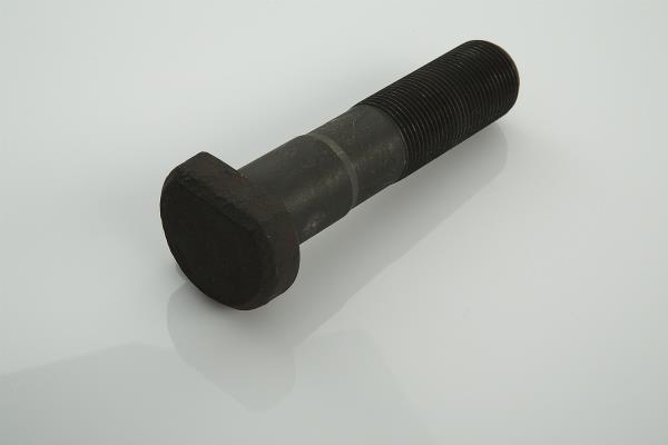 05700600A PE Automotive Wheel bolt