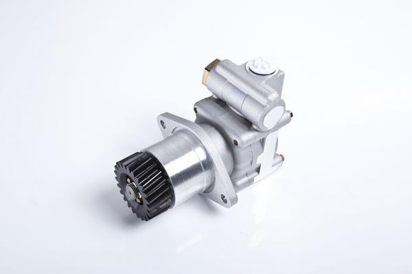 PE Automotive 142.501-00A Hydraulic Pump, steering system 14250100A