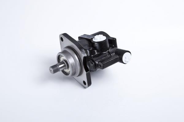 PE Automotive 142.503-00A Hydraulic Pump, steering system 14250300A