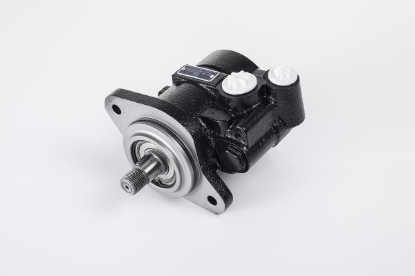PE Automotive 142.504-00A Hydraulic Pump, steering system 14250400A