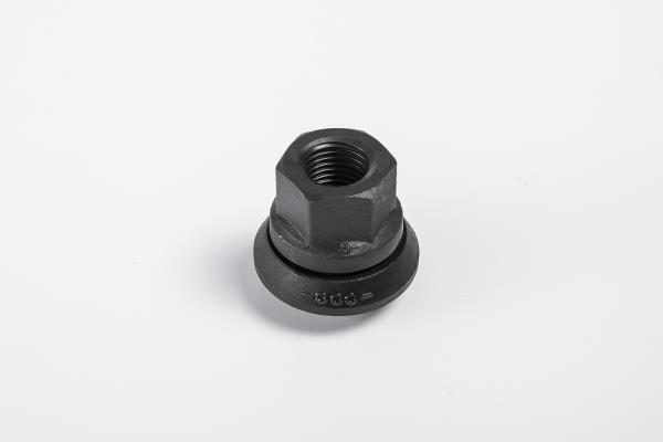 02700200A PE Automotive Wheel Nut