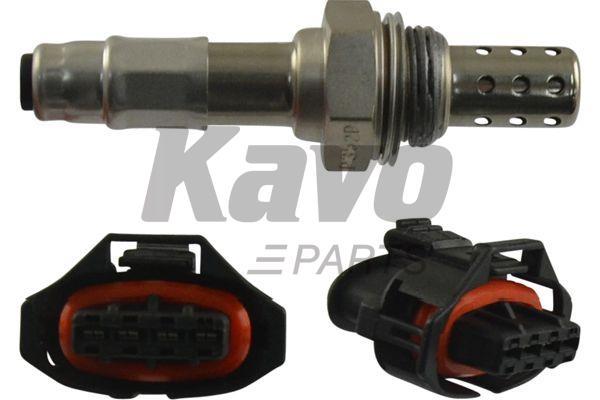 Buy Kavo parts EOS-1029 at a low price in United Arab Emirates!