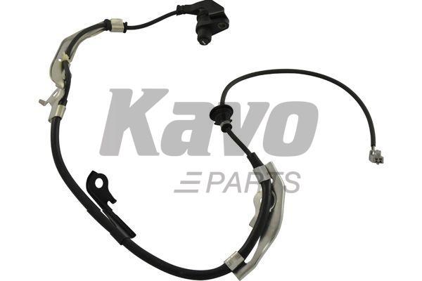 Buy Kavo parts BAS-9059 at a low price in United Arab Emirates!