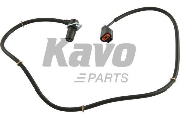 Buy Kavo parts BAS-5562 at a low price in United Arab Emirates!