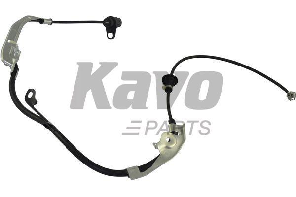 Buy Kavo parts BAS-9058 at a low price in United Arab Emirates!