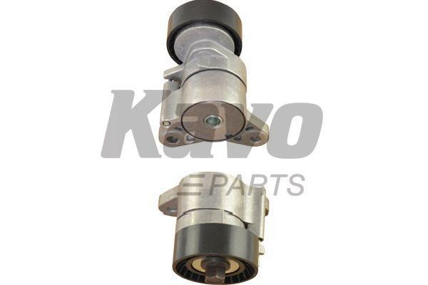 Buy Kavo parts DTP-5511 at a low price in United Arab Emirates!