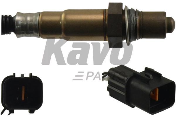 Buy Kavo parts EOS-3069 at a low price in United Arab Emirates!