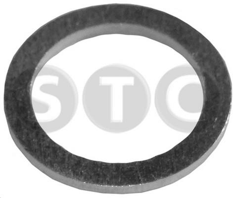 STC T402042 Plane washer T402042