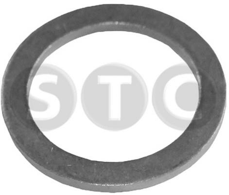 STC T402032 Plane washer T402032