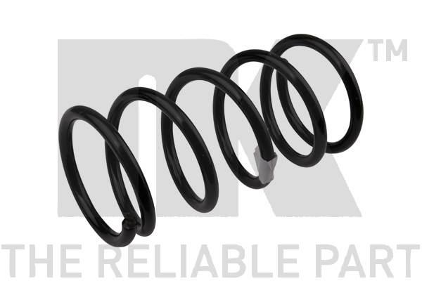 NK 545006 Coil Spring 545006