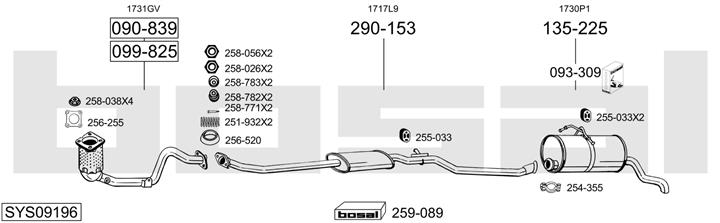 Bosal SYS09196 Exhaust system SYS09196