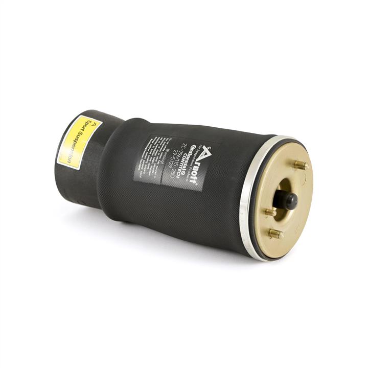 Buy Arnott A2503 – good price at EXIST.AE!