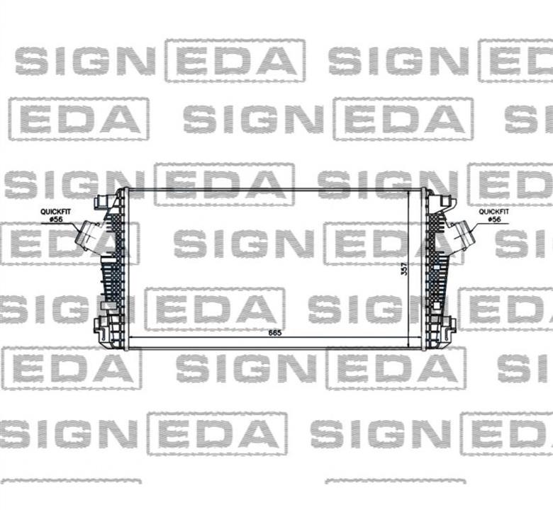 Buy Signeda RI96557 at a low price in United Arab Emirates!