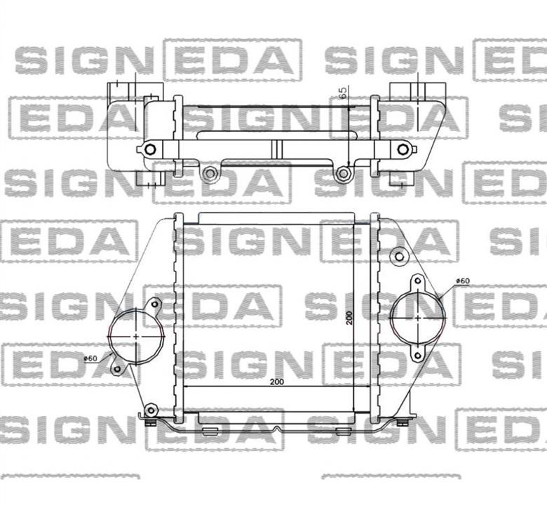 Buy Signeda RI96570 at a low price in United Arab Emirates!