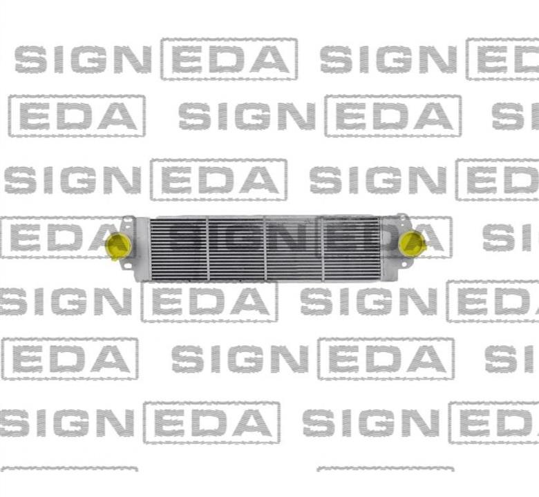 Buy Signeda RI96683 at a low price in United Arab Emirates!