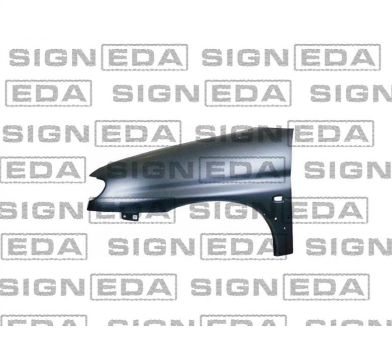 Signeda PPG10078BR(I) Front fender right PPG10078BRI