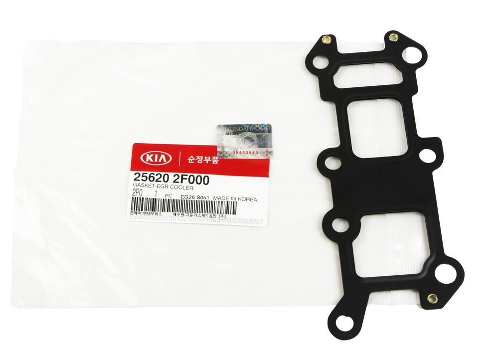 Exhaust manifold gasket Hyundai/Kia 25620 2F000