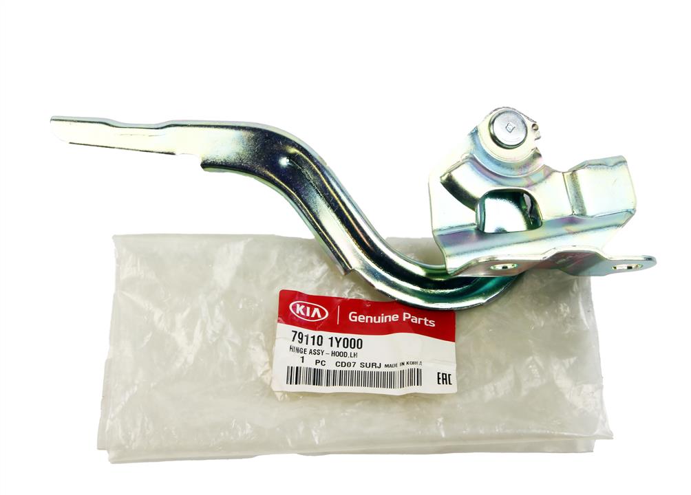 Buy Hyundai/Kia 79110 1Y000 at a low price in United Arab Emirates!