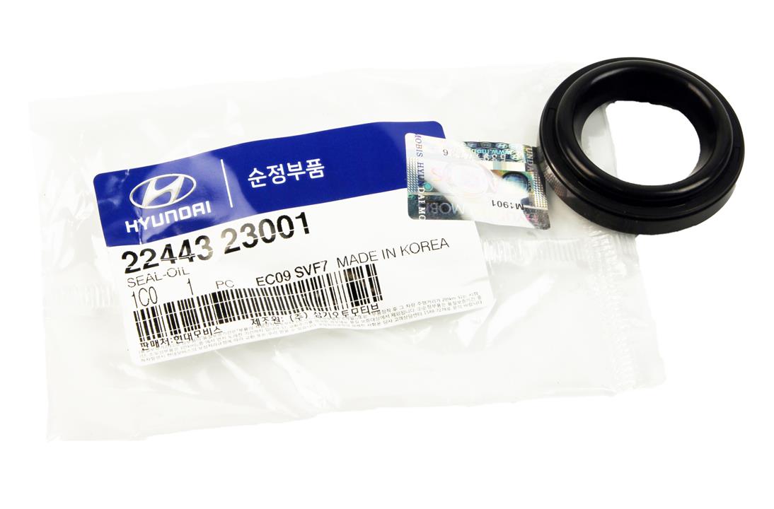 Buy Hyundai&#x2F;Kia 22443-23001 at a low price in United Arab Emirates!