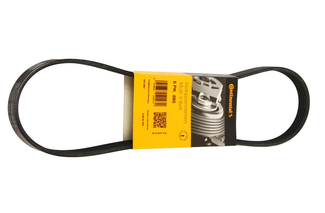 Buy Contitech 5PK880 at a low price in United Arab Emirates!