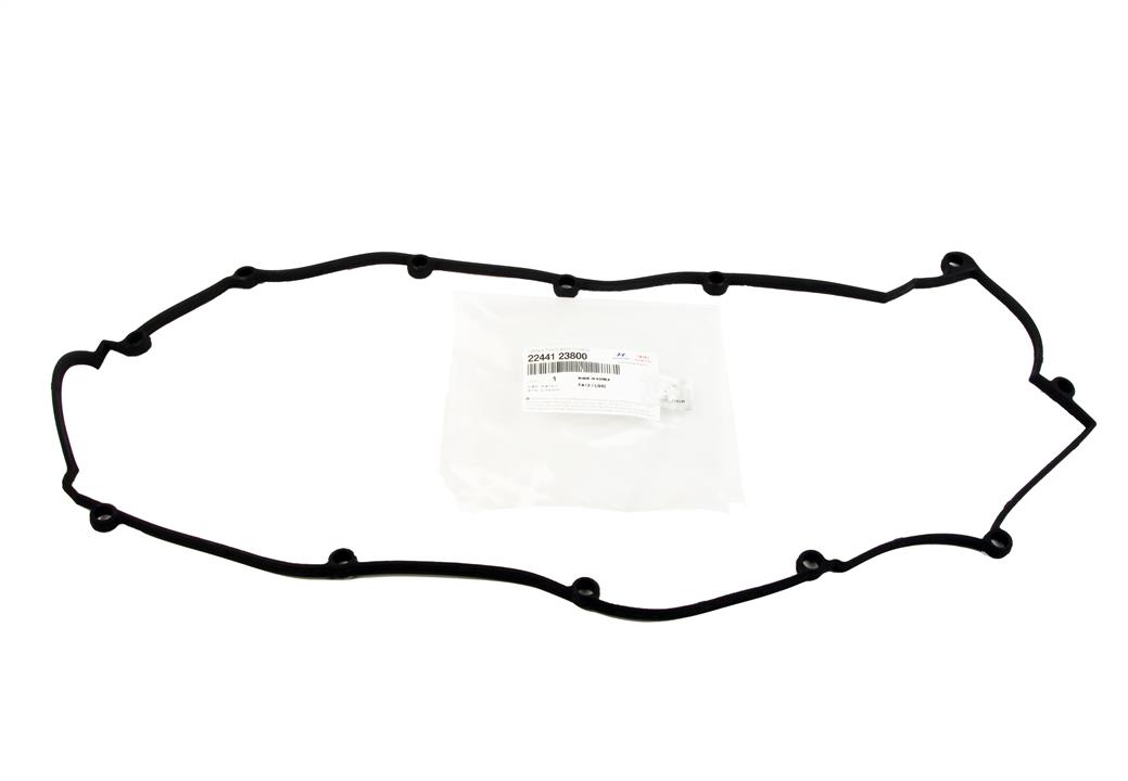 Buy Hyundai/Kia 2244123800 – good price at EXIST.AE!
