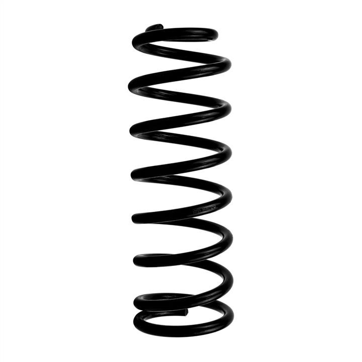 Hort S8445 Coil Spring S8445