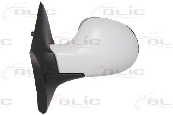 Side view mirror Renault Twingo: 5402092002225P Blic Outside Mirror