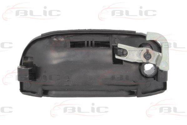 Handle-assist Blic 6010-01-013416P
