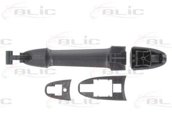 Handle-assist Blic 6010-02-065410P