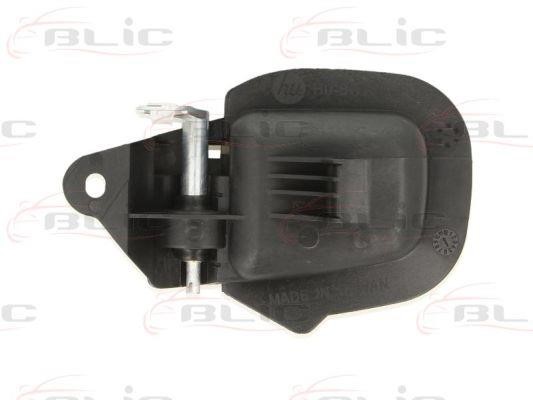 Handle-assist Blic 6010-05-004408P