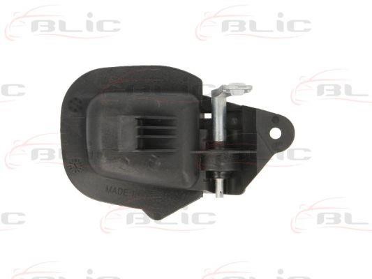 Handle-assist Blic 6010-05-004409P