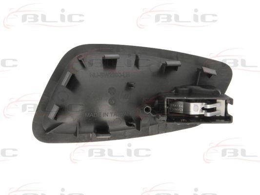 Handle-assist Blic 6010-05-021409P