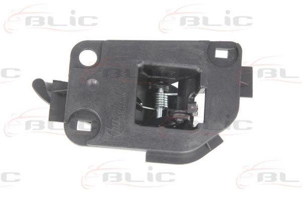 Handle-assist Blic 6010-07-027409P
