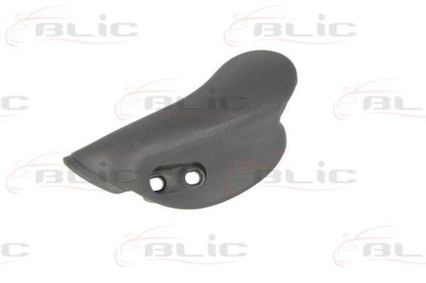Handle-assist Blic 6010-07-031409P