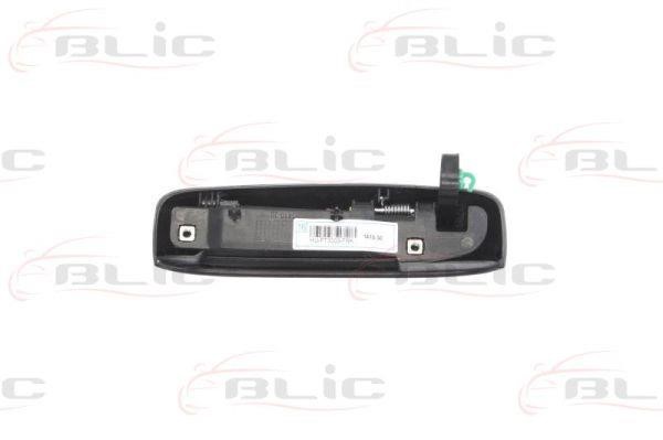 Handle-assist Blic 6010-07-033402P