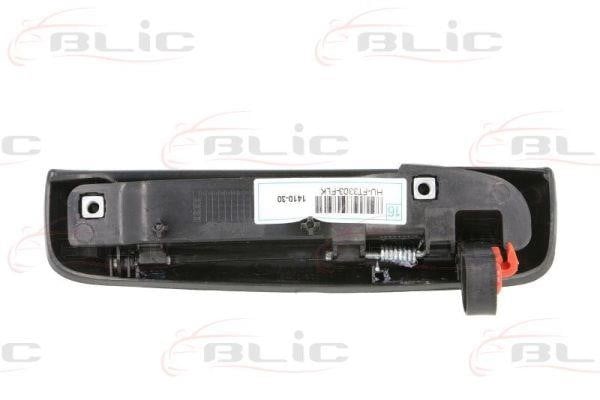 Handle-assist Blic 6010-07-033403P