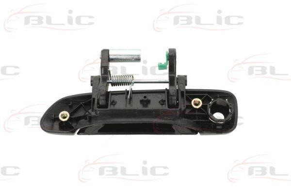 Handle-assist Blic 6010-12-045402P