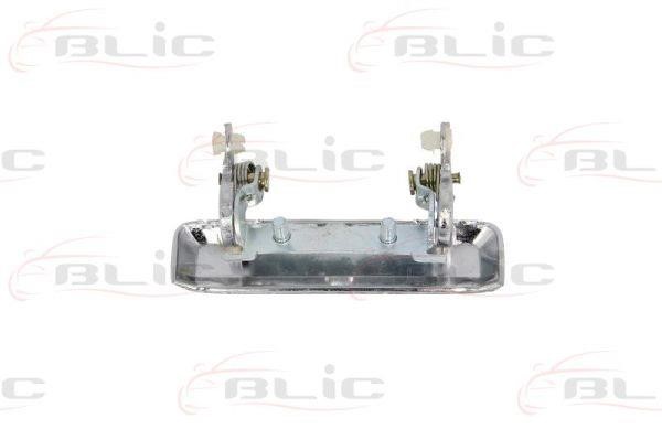 Handle-assist Blic 6010-18-007401P