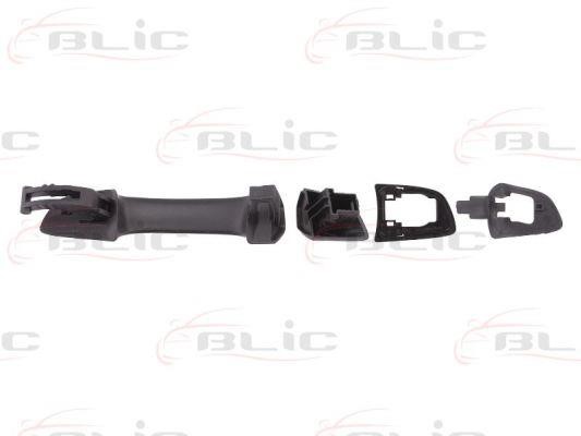 Handle-assist Blic 6010-43-009403P