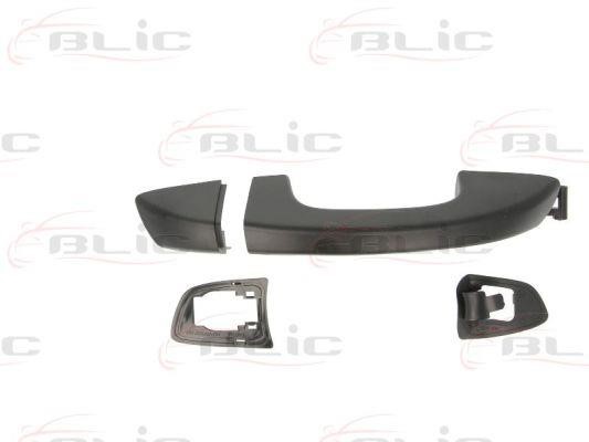 Handle-assist Blic 6010-43-009404P