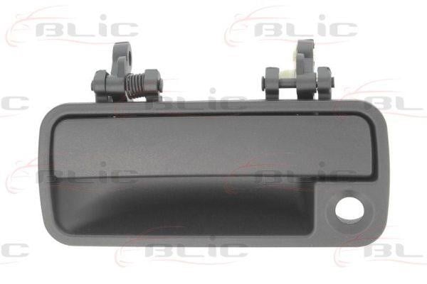 Handle-assist Blic 6010-57-007401P