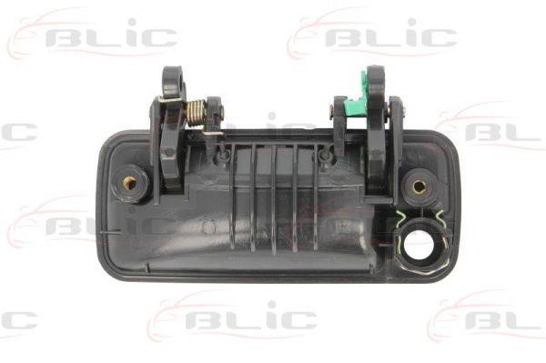 Handle-assist Blic 6010-57-007402P